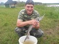 Трёхжил